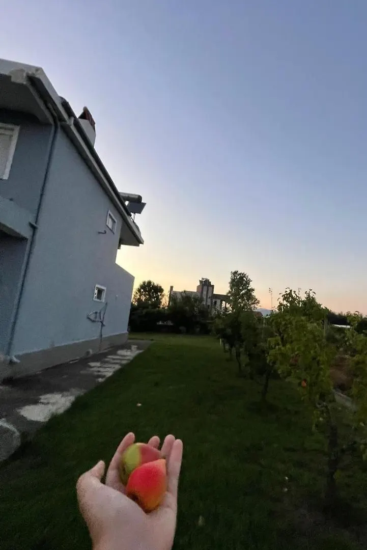 Villa Ilirian Lac Αλβανία
